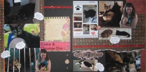 Scrapbooking Layout - Adorable